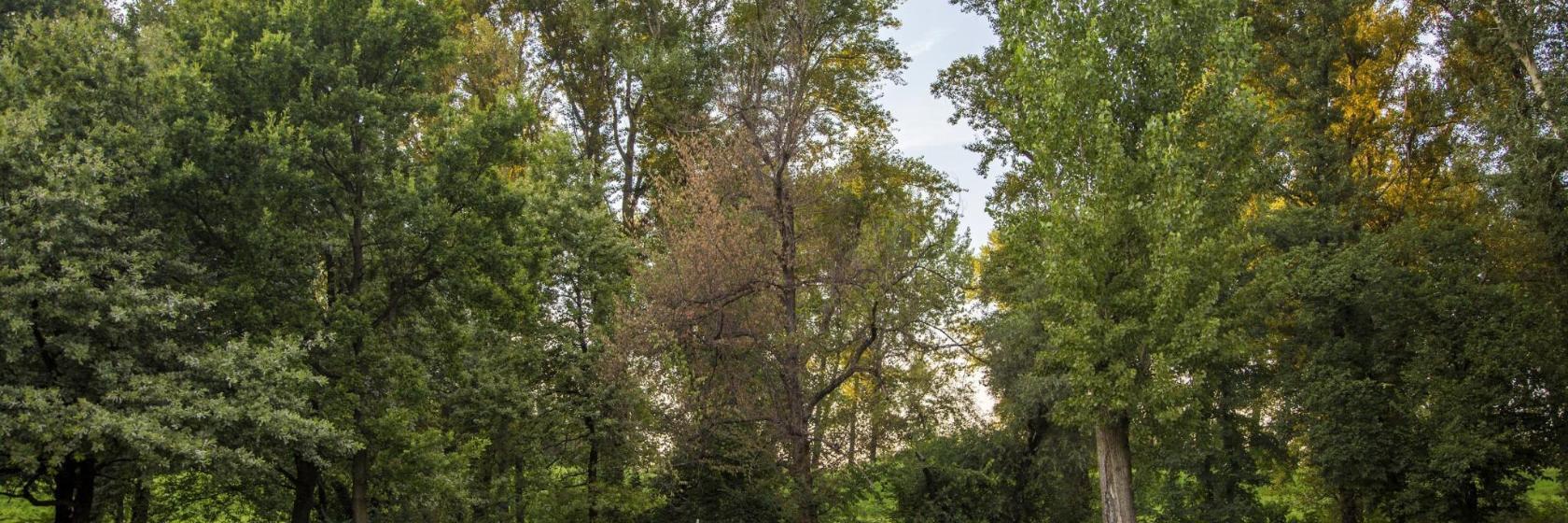 Le Touquet Golf Course